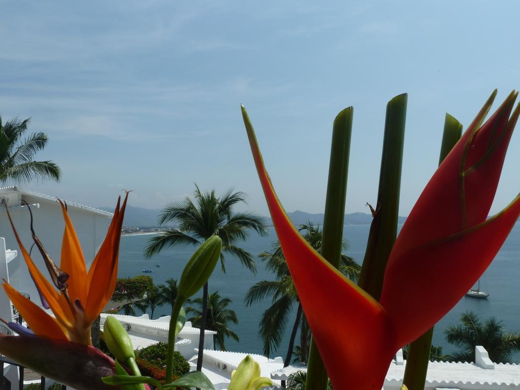 Dolphin Cove Inn Manzanillo Zewnętrze zdjęcie
