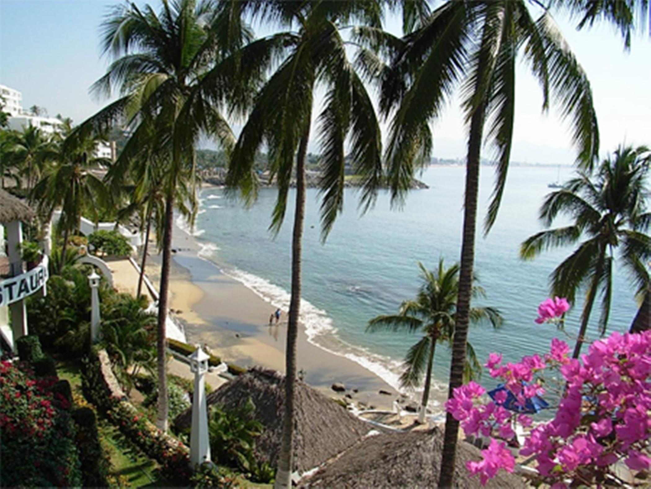 Dolphin Cove Inn Manzanillo Zewnętrze zdjęcie