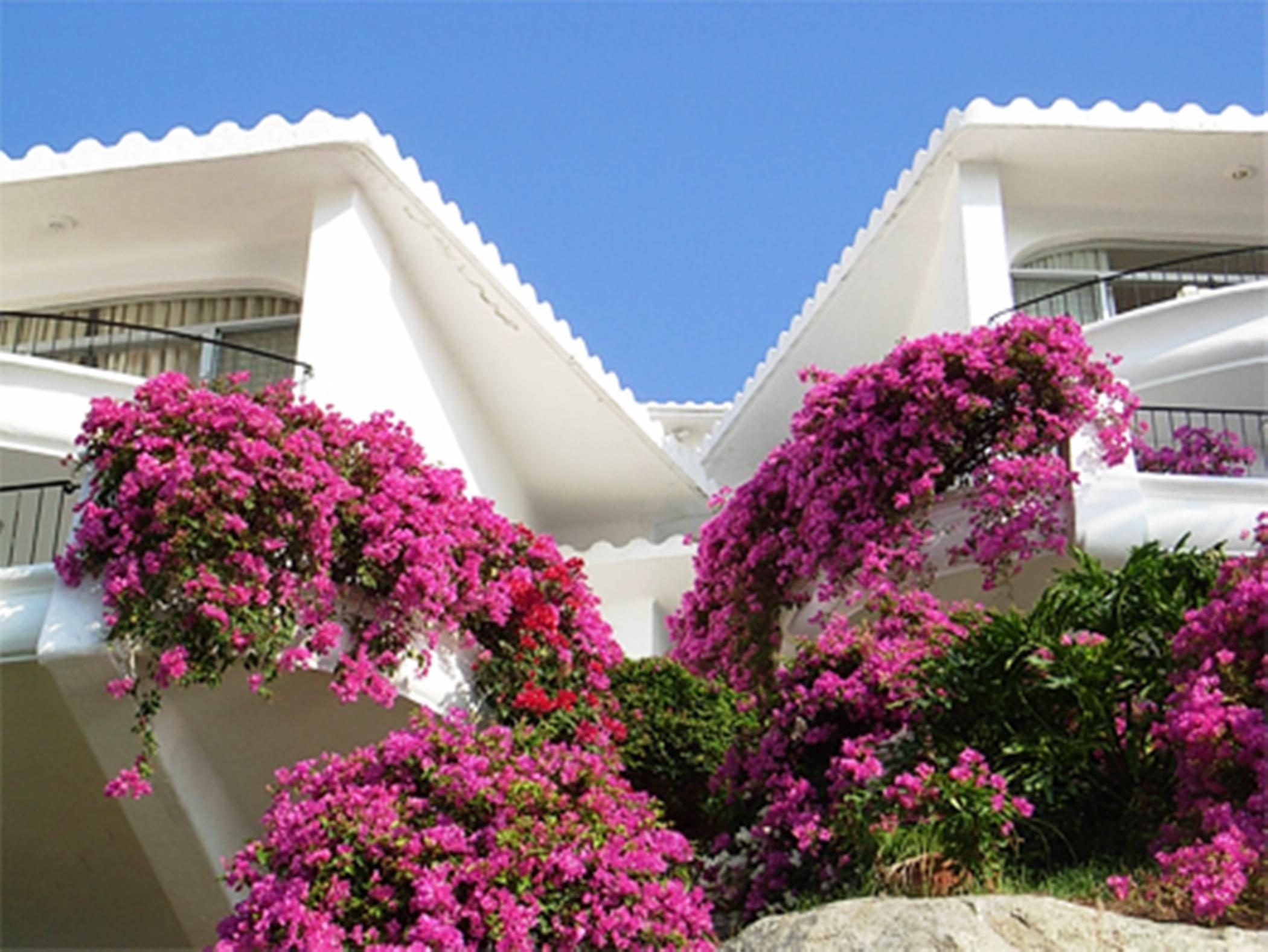 Dolphin Cove Inn Manzanillo Zewnętrze zdjęcie