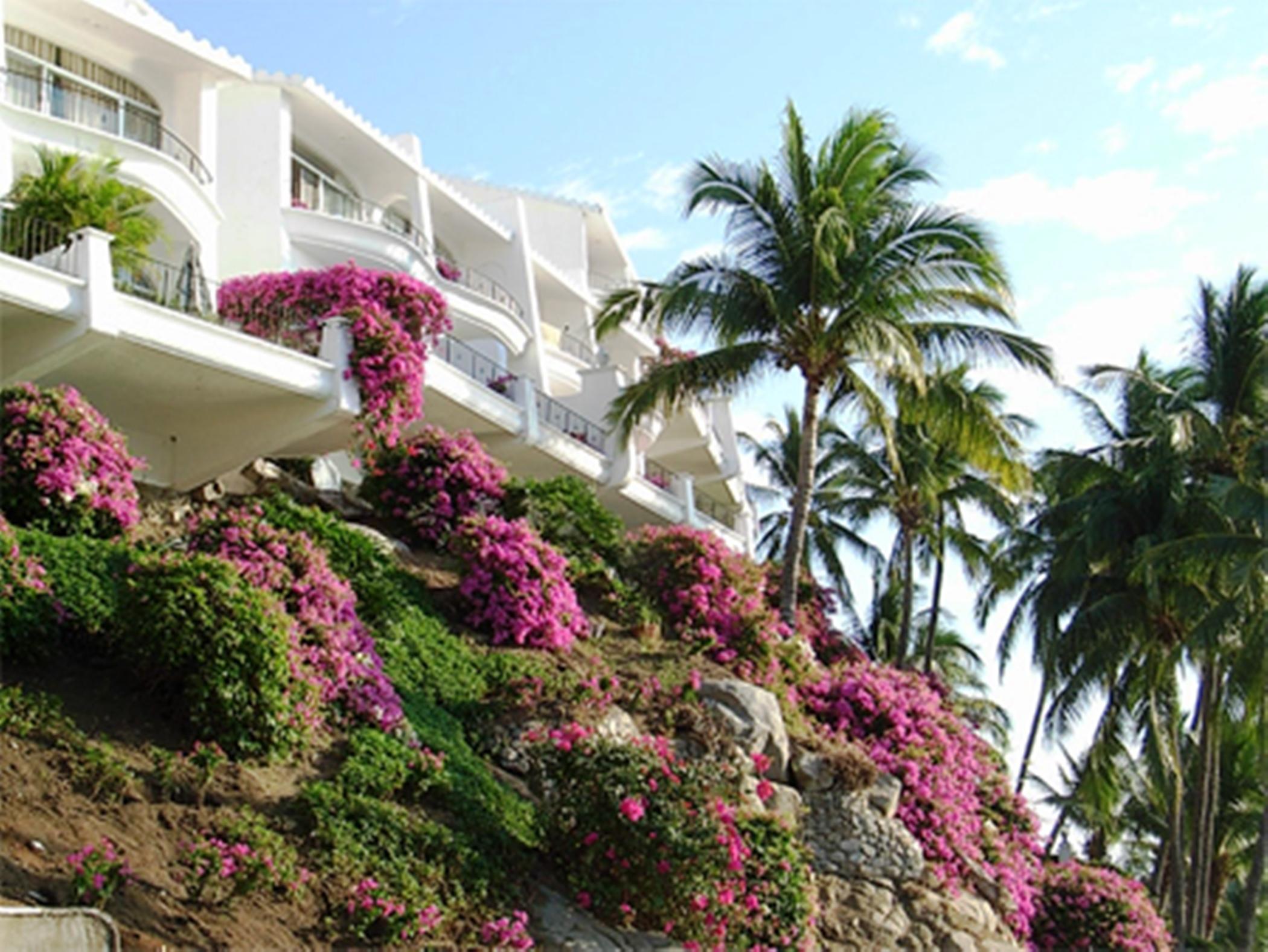 Dolphin Cove Inn Manzanillo Zewnętrze zdjęcie