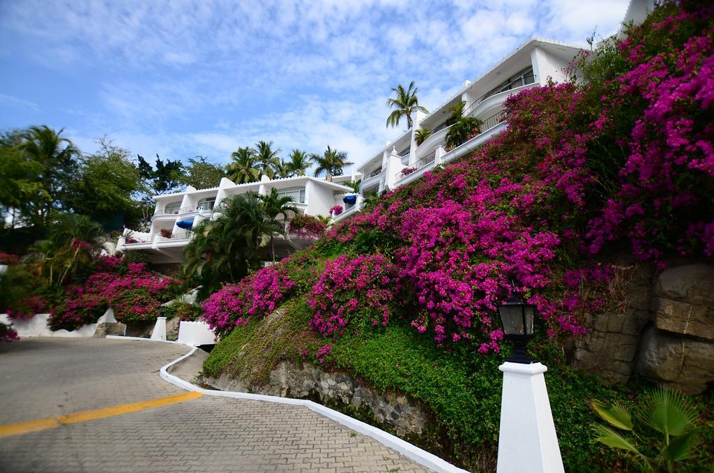 Dolphin Cove Inn Manzanillo Zewnętrze zdjęcie